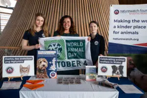 The Naturewatch Foundation team standing behind their table in the Senedd, holding the World Animal Day flag.