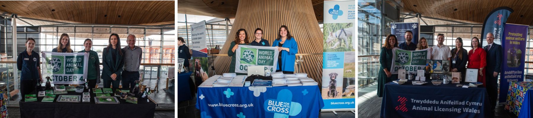 Celebrating animal welfare in Wales and campaigning for change at the Senedd 3 Sarah with the Greyhound Rescue Wales team holding the World Animal Day flag. - Sarah with the Blue Cross team holding the World Animal Day flag. - Sarah with the Animal Licensing Wales team holding the World Animal Day flag.