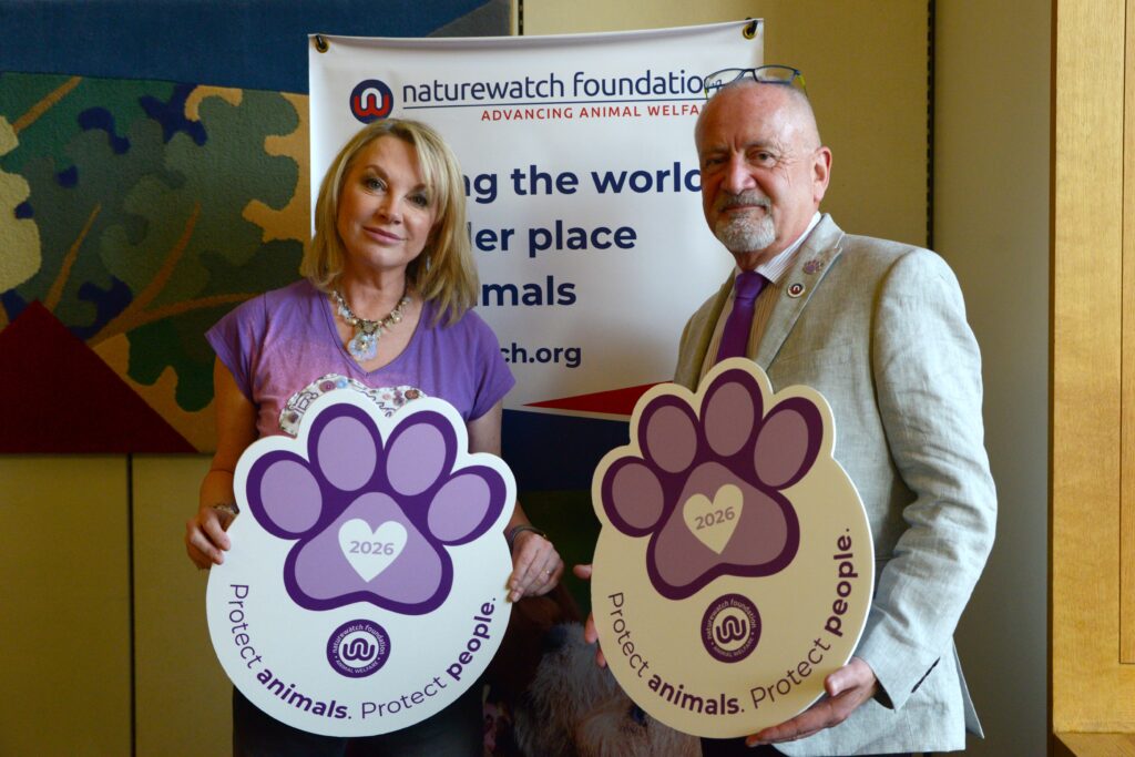 Why animal welfare belongs in public safety 2 A woman in a purple top and a man in a light grey suit stand in front of a Naturewatch Foundation banner, each holding a large purple paw-print sign reading “Protect animals. Protect people.” with a heart marked 2026.